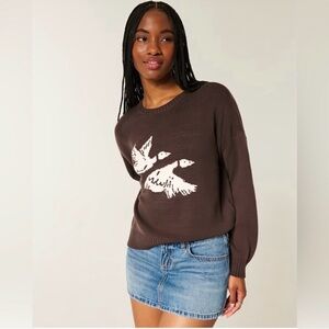 Hollister Flying Birds Duck Sweater NWOT